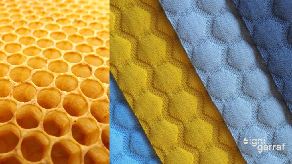 SPAZIO (Green Collection by Fidivi)